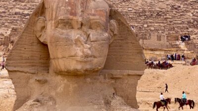 Un fósil de cocodrilo revela que el paisaje de la Esfinge era muy diferente