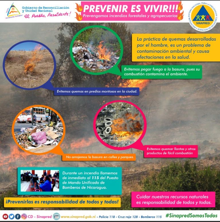 Conozca Las Medidas De PrevenciÓn De Incendios Forestales Y Agropecuarios Canal 6 8958