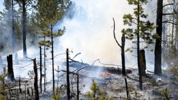 Incendios en Siberia dejan decenas de heridos y casas destruidas