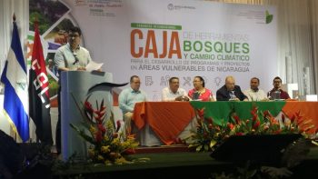 Marena realiza congreso internacional de protección de bosques y cambio climático
