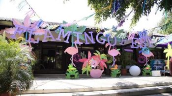 Flamingo Fest 2019