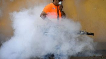 A 60 podrían subir las muertes por dengue en Honduras