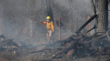 Paraguay declara controlados incendios en frontera con Brasil y Bolivia.