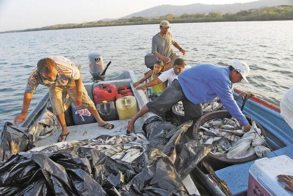pesca y acuicultura en nicaragua