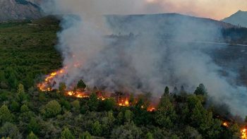 Masivos incendios forestales en Argentina, Chile y Uruguay