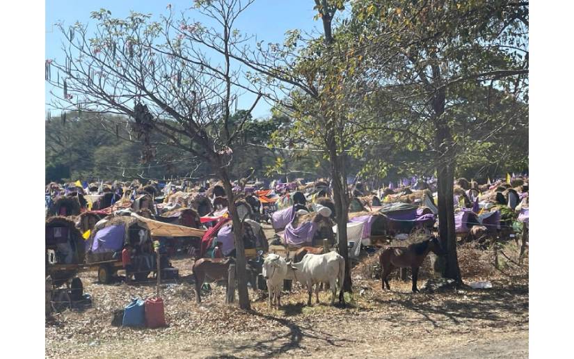 Carretas peregrinas llegan al Santuario Nacional en Popoyuapa