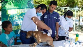 Realizan jornada de salud animal en Villa Guadalupe