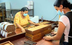 Nicaragua: Una potencia en auge de la industria tabacalera