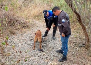 Encuentran fosa con restos humanos en Ecuador