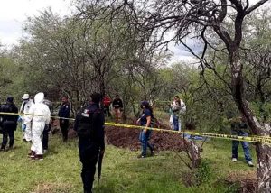 México: Hallazgo de 11 cadáveres en huerta de aguacates