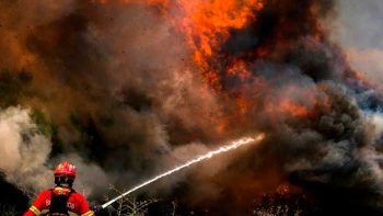 Portugal combate varios incendios forestales en su tercera ola de calor
