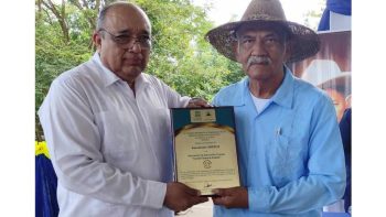 UNESCO entrega reconocimiento al maestro Orlando Pineda