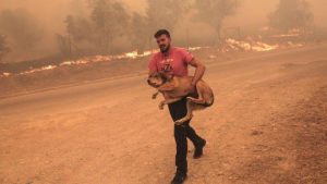 Un incendio en Grecia deja a 28 personas muertas 
