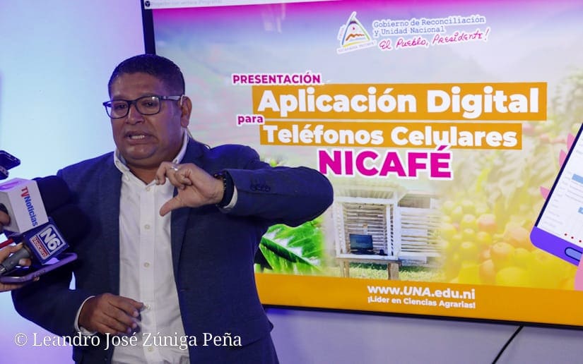 NICAFÉ: Nueva aplicación para alertas tempranas y optimización de la producción cafetalera