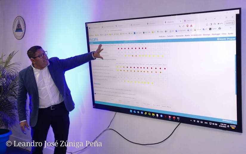NICAFÉ: Nueva aplicación para alertas tempranas y optimización de la producción cafetalera