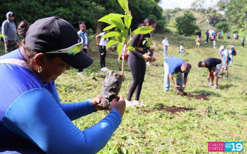 Alcaldía de Managua promueve la reforestación y la conciencia sobre el cáncer en la finca Las Uvas