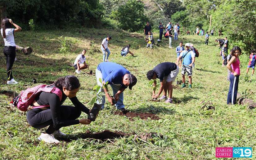 Alcaldía de Managua promueve la reforestación y la conciencia sobre el cáncer en la finca Las Uvas