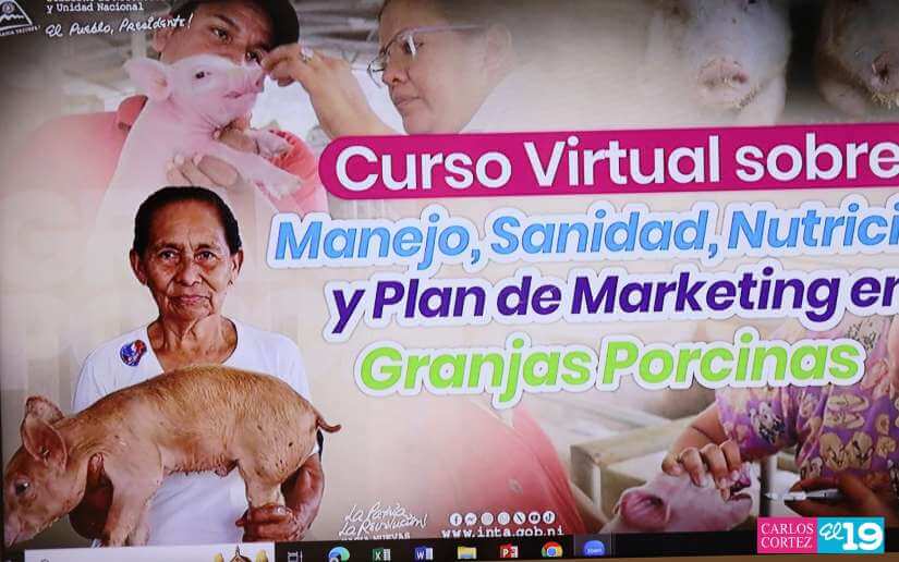 INTA fortalece las capacidades de los porcicultores nicaragüenses