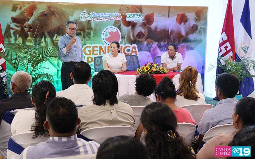 INTA fortalece las capacidades de los porcicultores nicaragüenses