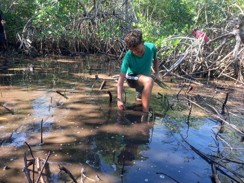 Marena garantiza restauración ambiental de las costas nicaragüenses 