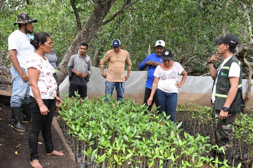 Marena garantiza restauración ambiental de las costas nicaragüenses 