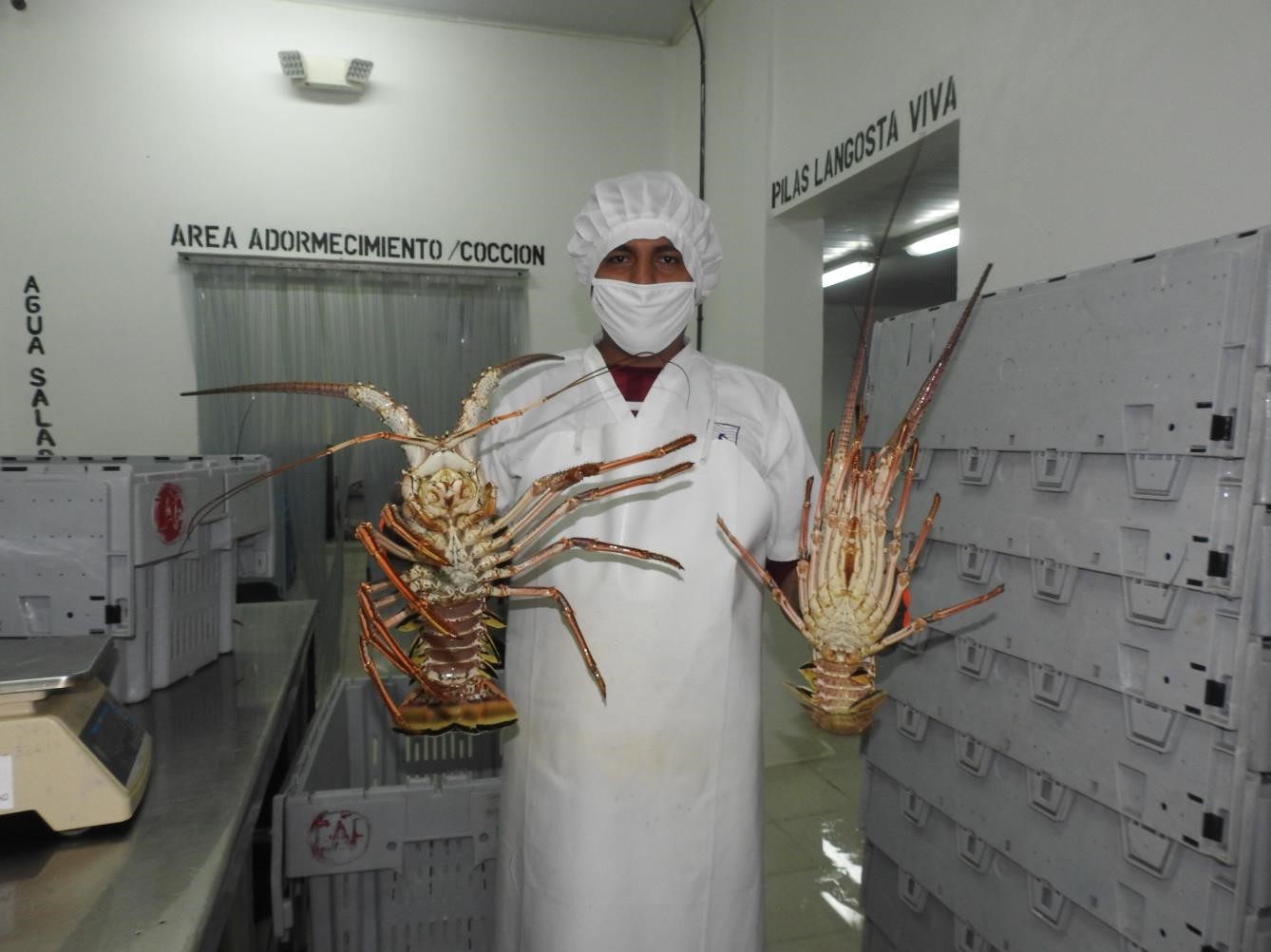 Avances en la producción pesquera y acuícola