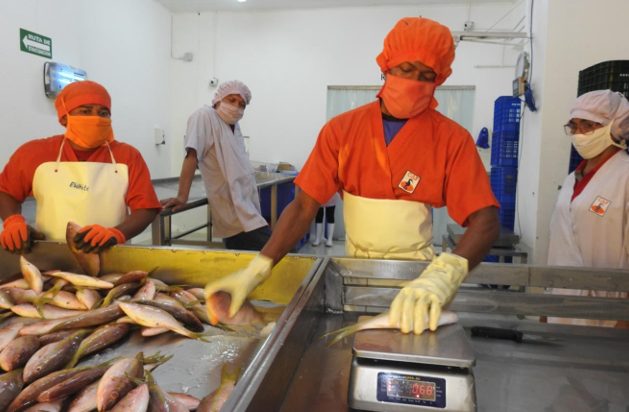Avances en la producción pesquera y acuícola
