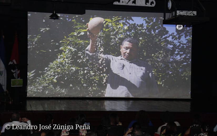 Nicaragua celebra la Fiesta del Maíz con la proyección de tres obras audiovisuales