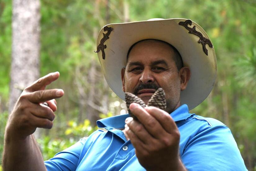 Marena: Conservando el bosque de pino en Nicaragua