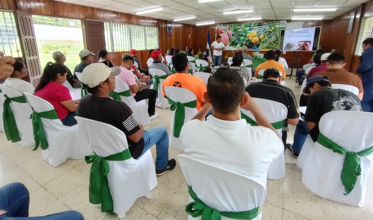 Productores de Masatepe conocen técnicas de selección de semillas para el establecimiento de viveros