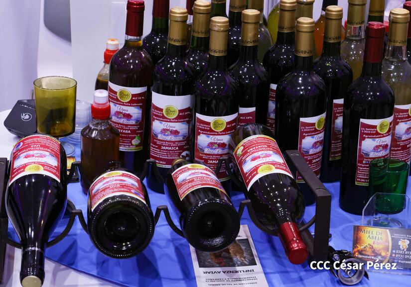 Nicaragua Emprende 2024, logra un exitoso cierre de comercialización