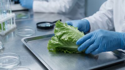 Cómo desinfectar y cocinar verduras ante el aumento de casos de ciclosporiasis