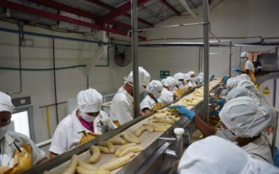 Marena con empresa de frutas orgánicas