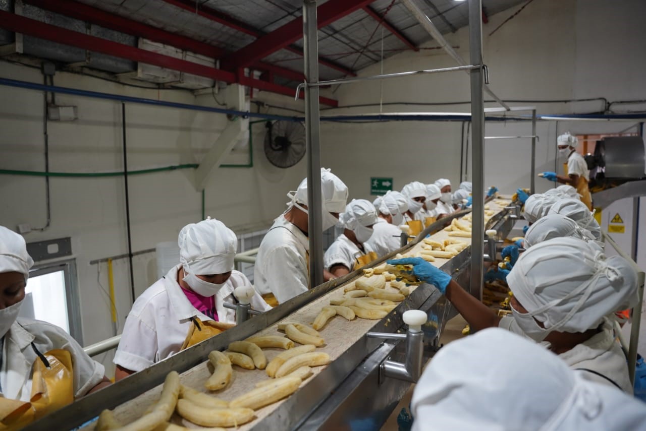 Marena con empresa de frutas orgánicas