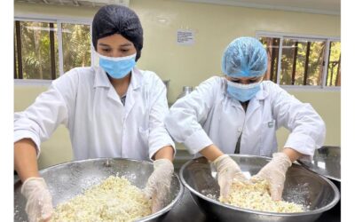 Más emprendedores capacitados en el procesamiento de queso