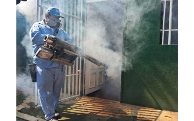 Ministerio de Salud inicia acciones de la séptima jornada de abatización y eliminación de criaderos