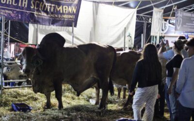 Feria Ganadera: vitrina de innovación y soluciones para el campo