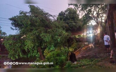 Autoridades de Nicaragua atienden incidencias provocadas por lluvias y vientos de este pasado domingo