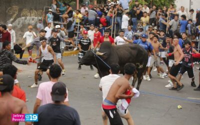 Tope de toros: Fiestas tradicional en la Gran Sultana