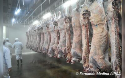 Nicaragua inicia exportación de carne bovina a la República Popular China