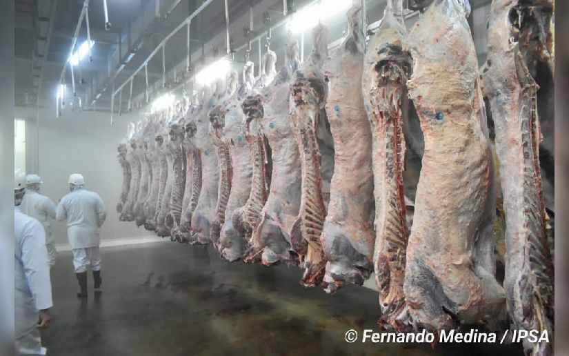 Nicaragua inicia exportación de carne bovina a la República Popular China