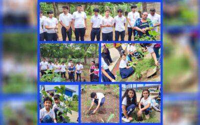 Más áreas verdes gracias a campaña de reforestación en Managua