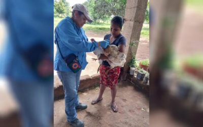 Nicaragua refuerza vigilancia epidemiológica para prevenir la Influenza Aviar