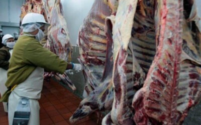 Nicaragua produce más de 342 millones de libras de carne bovina en octubre de 2025