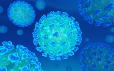 Situación del coronavirus del 11 al 18 de noviembre del 2025