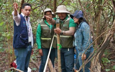 MARENA finaliza tercera etapa del Inventario Forestal con 113 unidades de muestreo