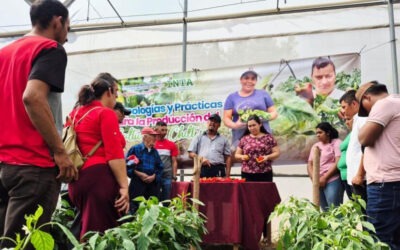 INTA realiza congreso regional enfocado en la producción de hortalizas