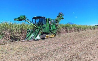 Producción nacional de azúcar alcanza 4.1 millones de quintales a inicios de enero
