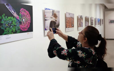 Arranca en Moscú la admisión de obras al XII Concurso Internacional de Fotoperiodismo Andréi Stenin