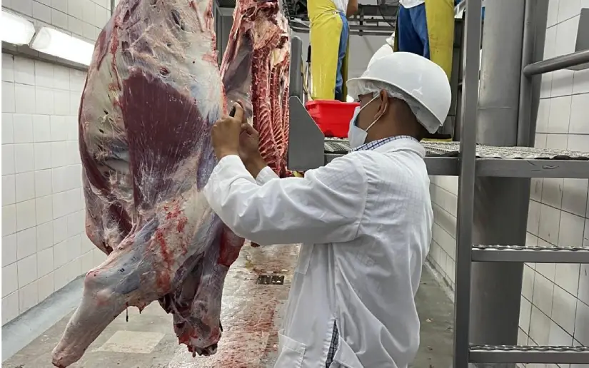 Carne bovina 